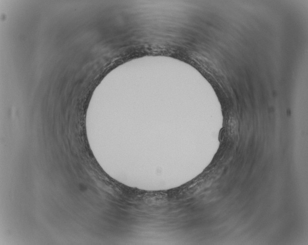 X0000088180865200706121648