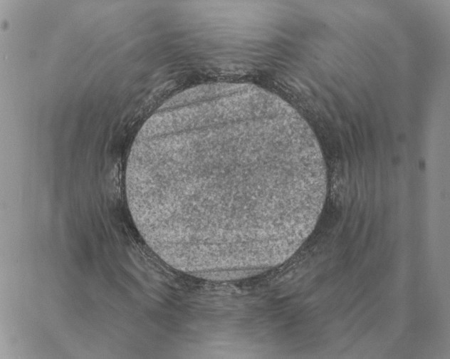 X0000088180866200706121648