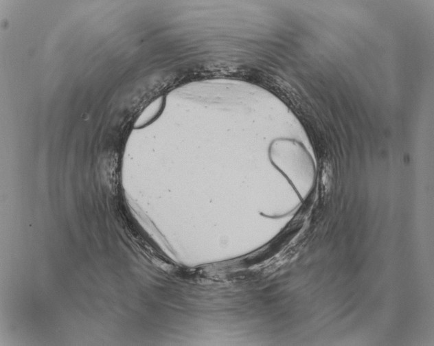 X0000088180867200706121648