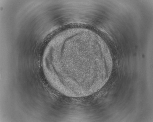 X0000088180870200706121648