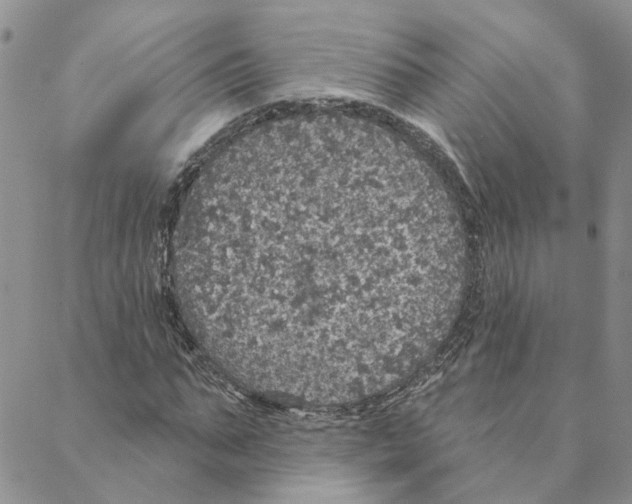 X0000088180871200706121648