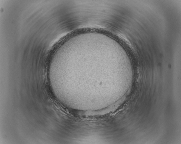 X0000088180872200706121648