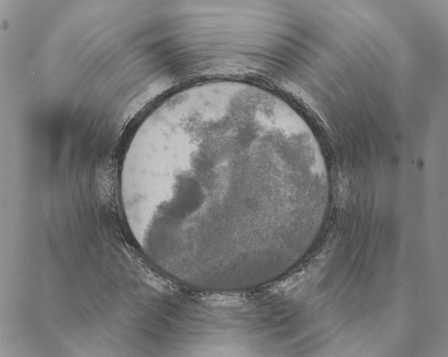 X0000088180874200706121648