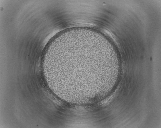 X0000088180875200706121648