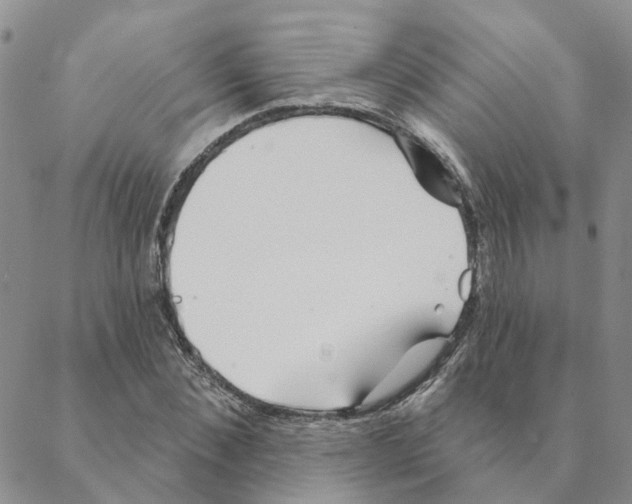 X0000088180876200706121648