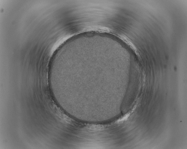 X0000088180877200706121648