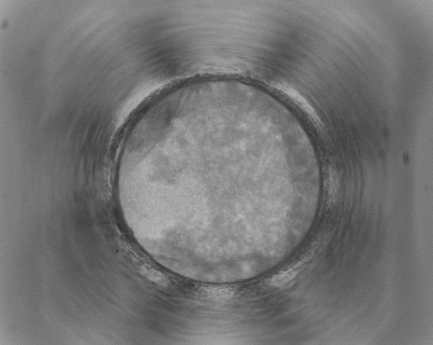 X0000088180878200706121648