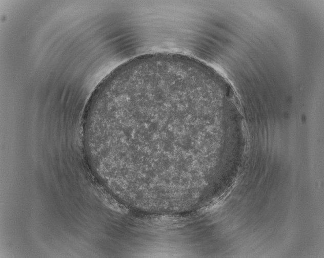 X0000088180879200706121648