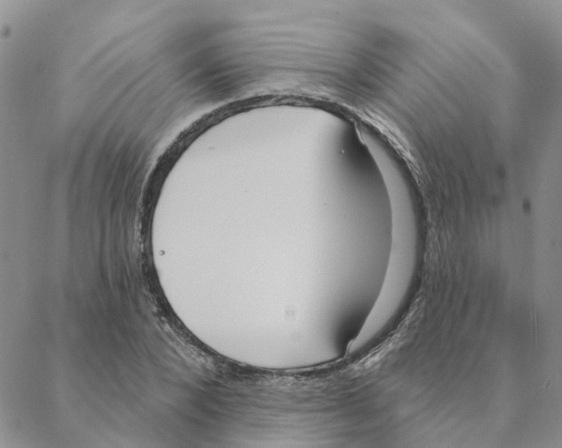 X0000088180880200706121648