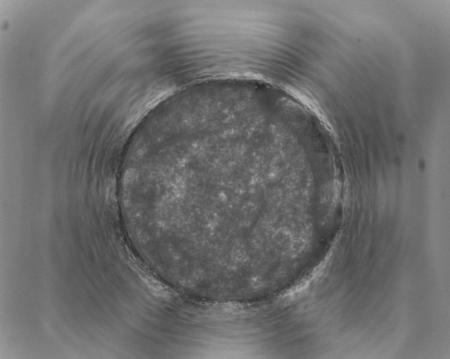 X0000088180881200706121648