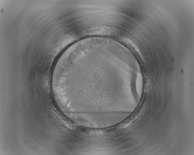 X0000088180882200706121648