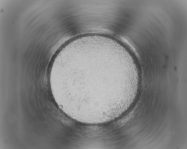 X0000088180883200706121648