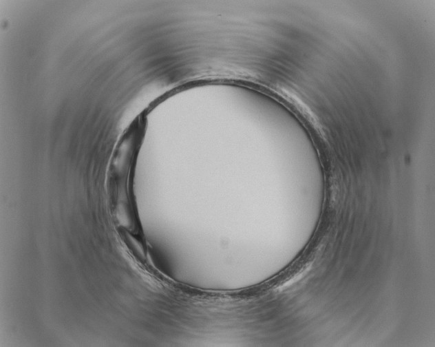 X0000088180885200706121648