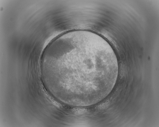 X0000088180886200706121648