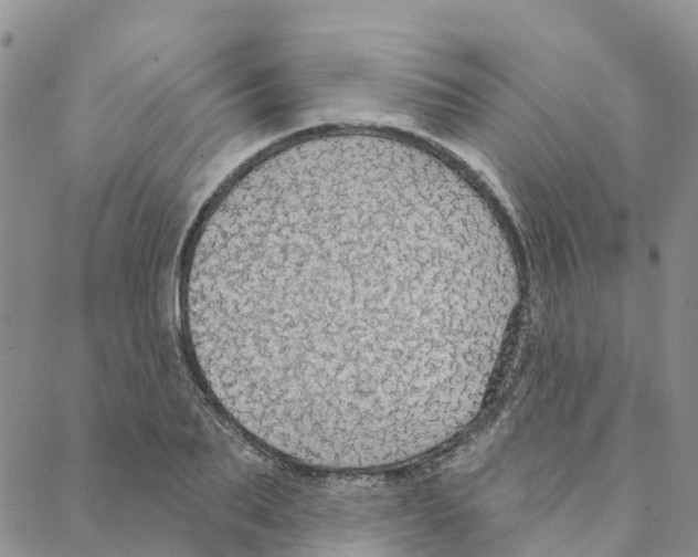 X0000088180887200706121648