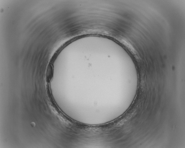 X0000088180888200706121648