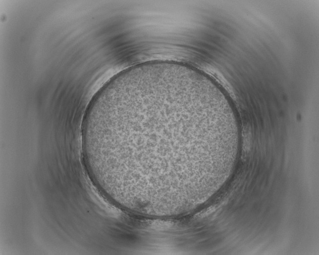 X0000088180890200706121648