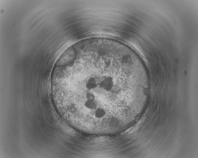 X0000088180891200706121648