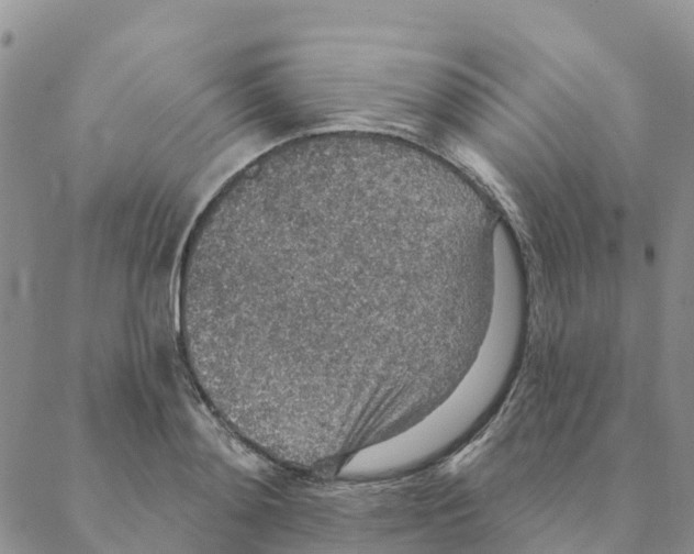 X0000088180892200706121648