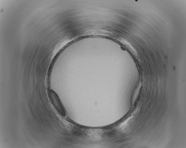 X0000088180893200706121648