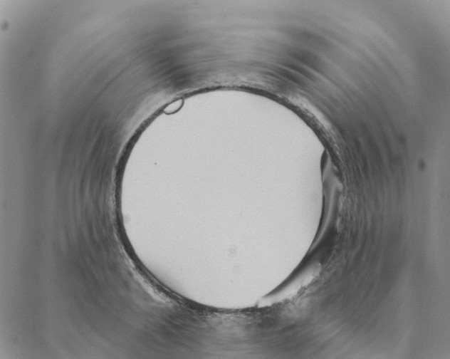 X0000088180894200706121648