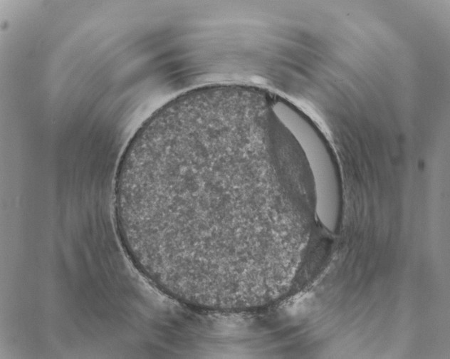 X0000088180895200706121648