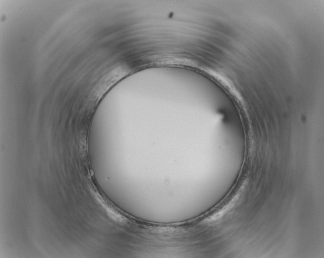 X0000088180897200706121648