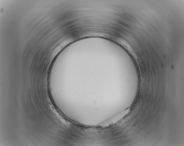 X0000088180898200706121648