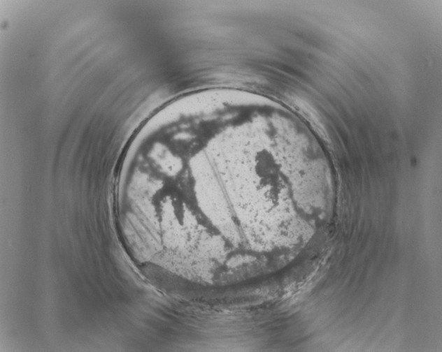 X0000088180899200706121648