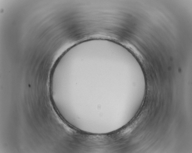 X0000088180902200706121648