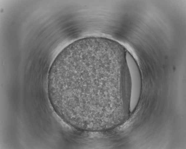 X0000088180903200706121648