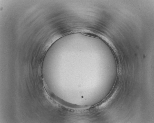 X0000088180905200706121648