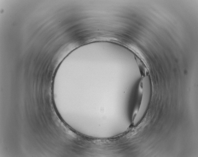 X0000088180906200706121648