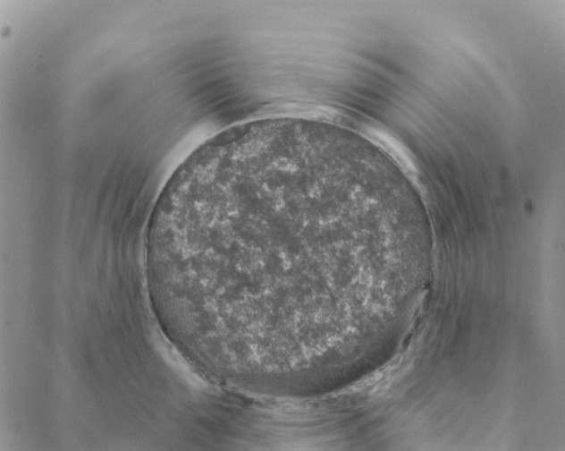 X0000088180907200706121648