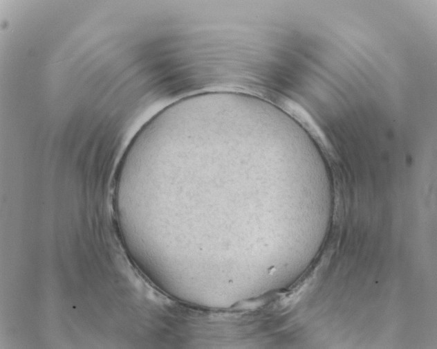 X0000088180908200706121648