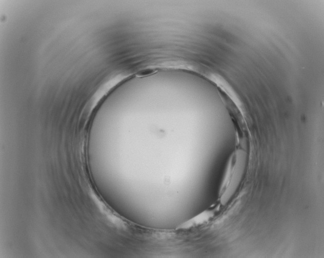 X0000088180909200706121648