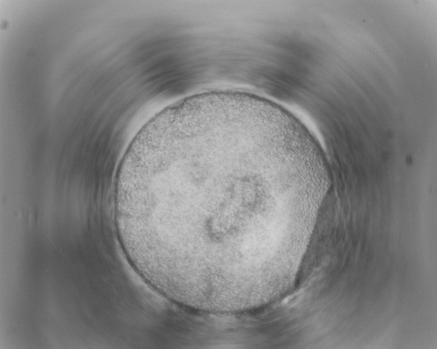 X0000088180911200706121648