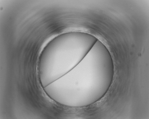 X0000088180912200706121648