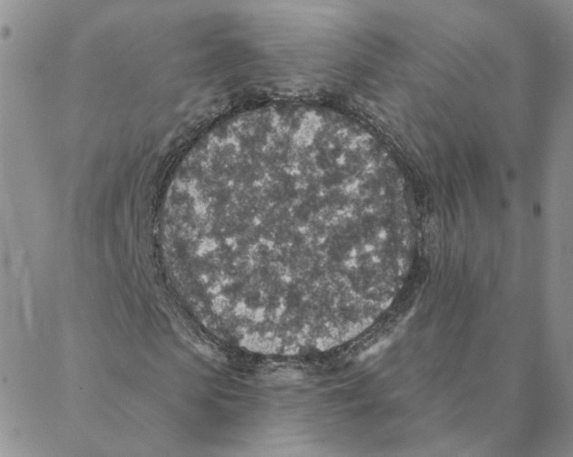 X0000088180913200706121647