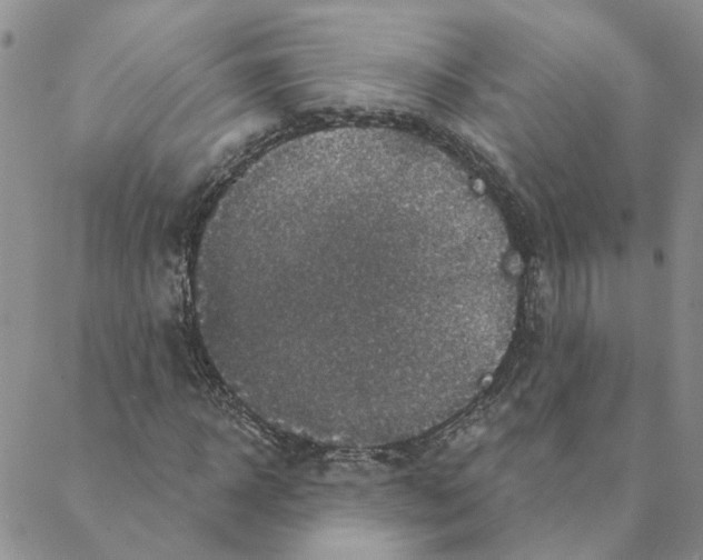 X0000088180918200706121647