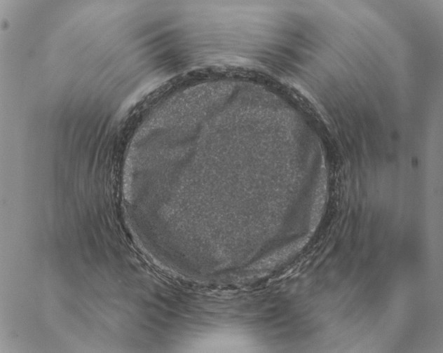 X0000088180919200706121647