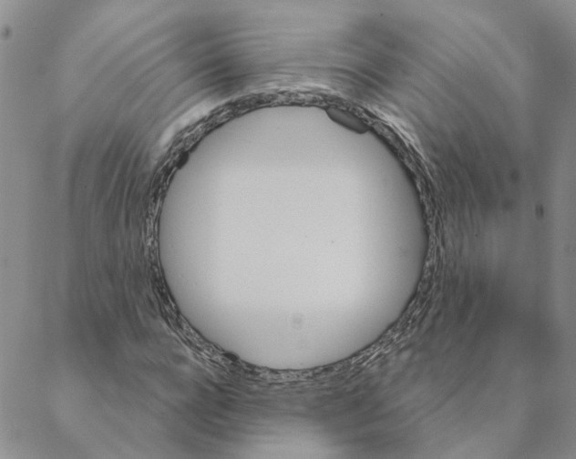 X0000088180920200706121647