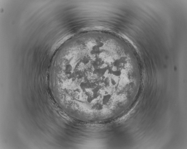 X0000088180921200706121647