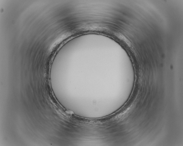 X0000088180922200706121647