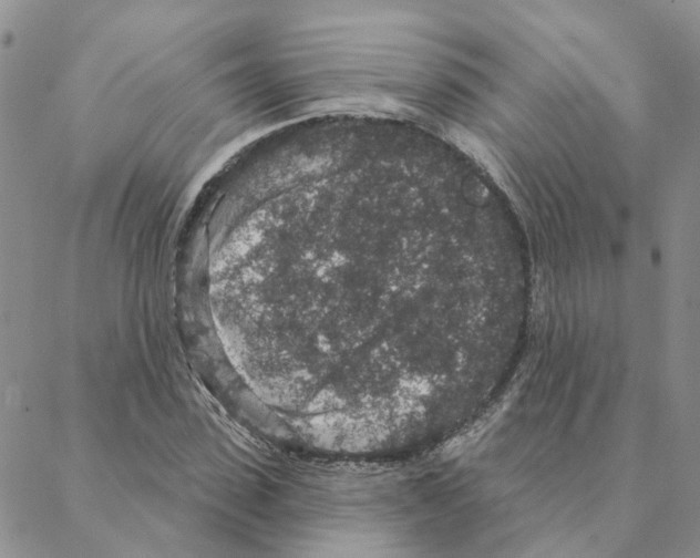 X0000088180923200706121647