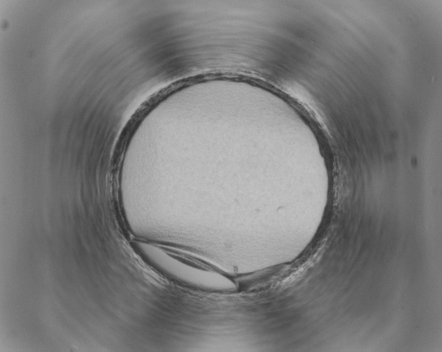 X0000088180924200706121647