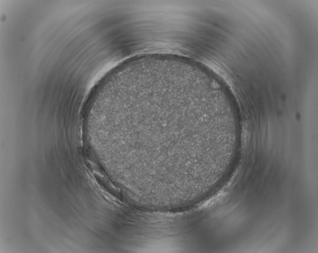 X0000088180925200706121647