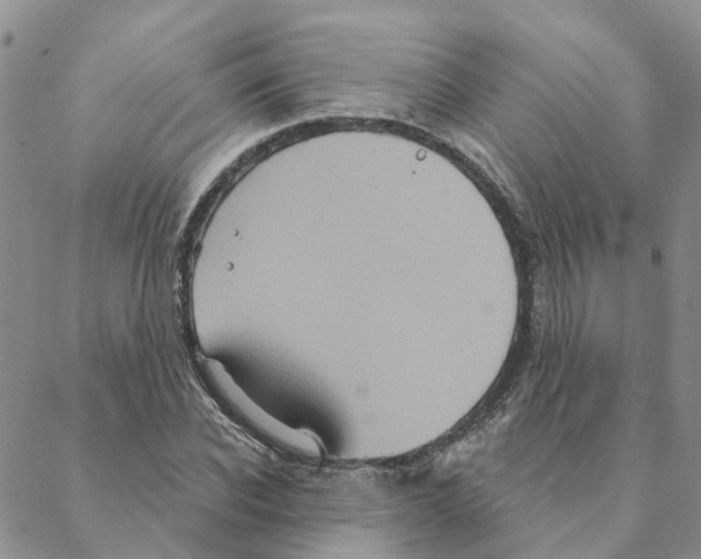 X0000088180926200706121647