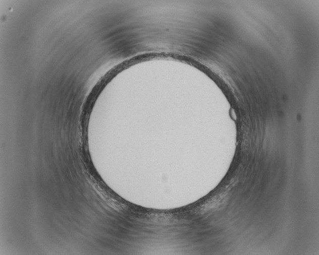 X0000088180927200706121647