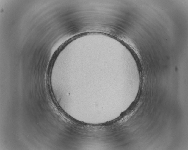 X0000088180928200706121647